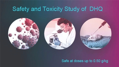 Kintai เสร็จสิ้นการศึกษาความปลอดภัยและความเป็นพิษของ Dihydroquercetin (DHQ)